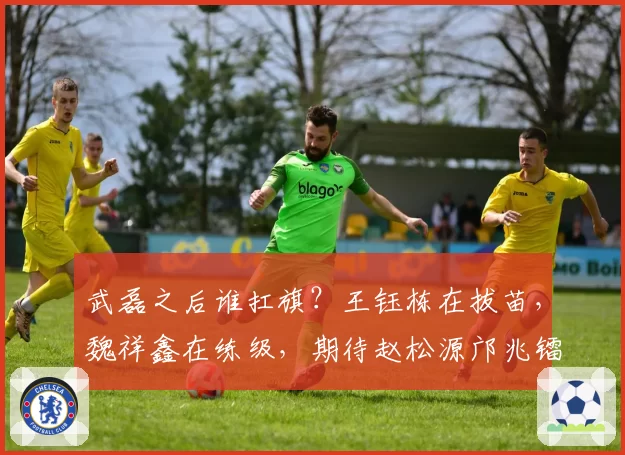 武磊之后谁扛旗?王钰栋在拔苗,魏祥鑫在练级,期待赵松源邝兆镭
