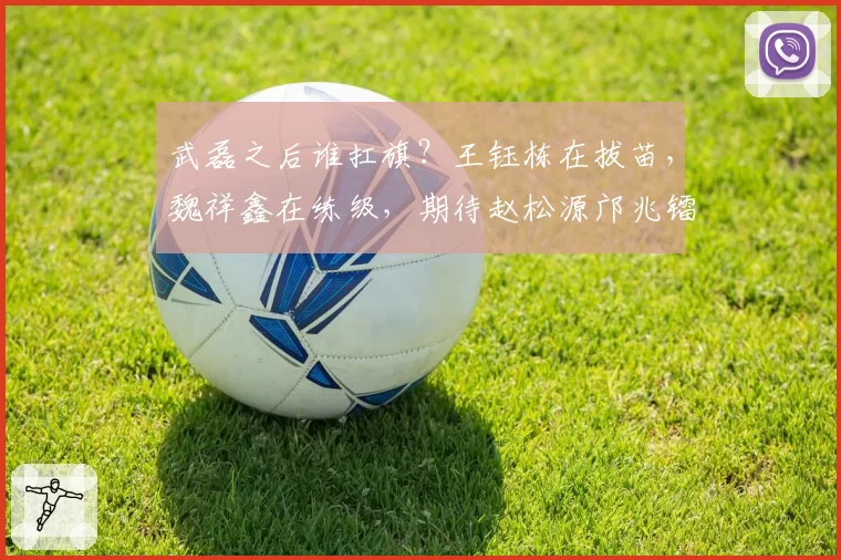 武磊之后谁扛旗?王钰栋在拔苗,魏祥鑫在练级,期待赵松源邝兆镭