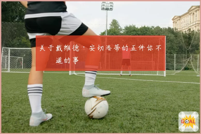 关于戴维德·安切洛蒂的五件你不知道的事